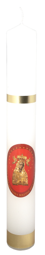 7.png